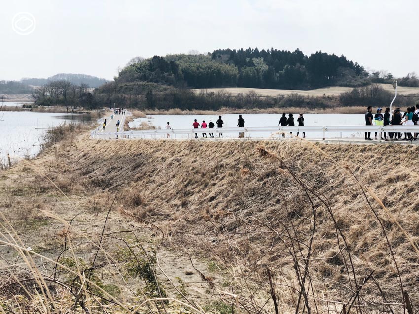 Tohoku Food Marathon