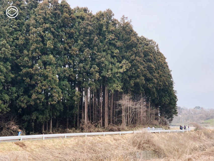 Tohoku Food Marathon