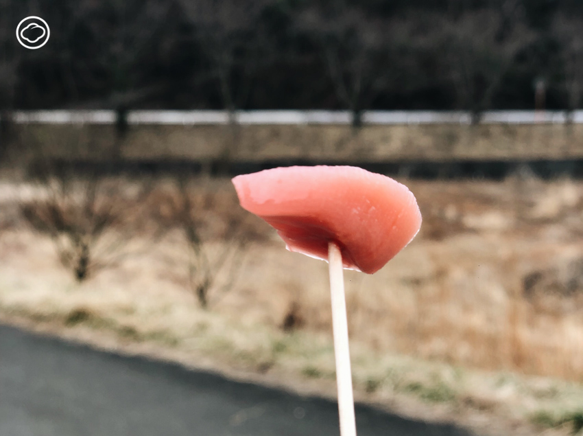 Tohoku Food Marathon
