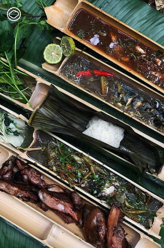 ทริปเดินป่าระยะสั้นเพื่อเรียนรู้ เก็บผัก จับปลาในลำธาร และทำอาหารกันในป่า