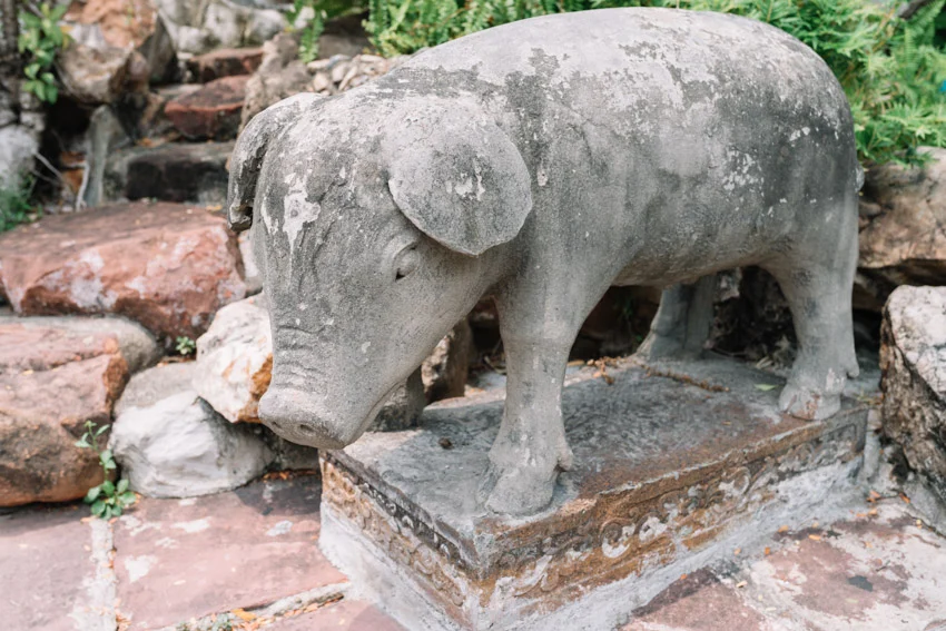 วัดโพธิ์