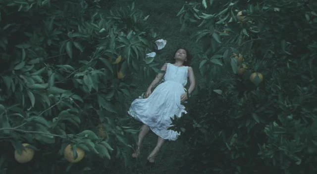 Like Grains of Sand (1995)