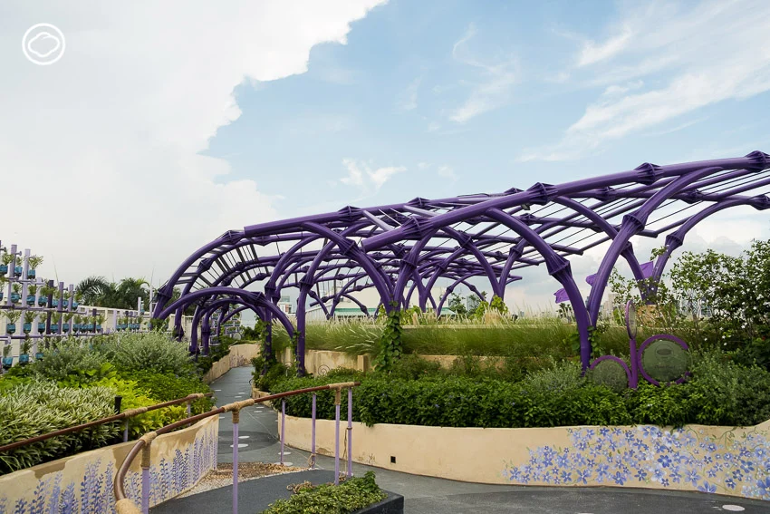 เมื่อดาดฟ้าโรงพยาบาลรามาฯ กลายเป็น ‘สวนบำบัดลอยฟ้า’ ใหญ่สุดในไทยที่ช่วยบำบัดทั้งคนและเมือง