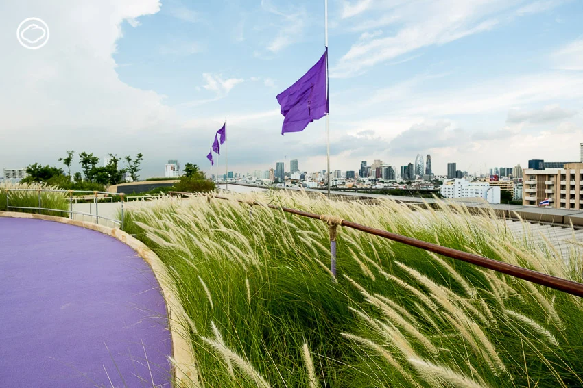 เมื่อดาดฟ้าโรงพยาบาลรามาฯ กลายเป็น ‘สวนบำบัดลอยฟ้า’ ใหญ่สุดในไทยที่ช่วยบำบัดทั้งคนและเมือง