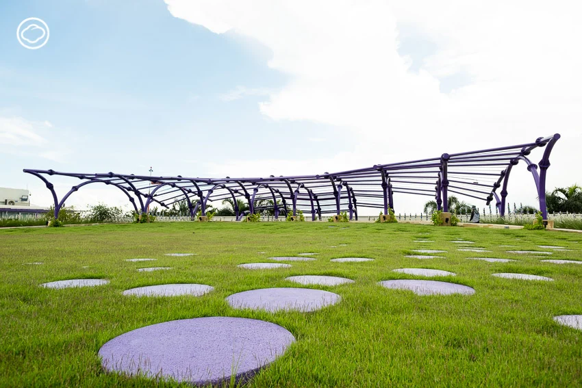 เมื่อดาดฟ้าโรงพยาบาลรามาฯ กลายเป็น ‘สวนบำบัดลอยฟ้า’ ใหญ่สุดในไทยที่ช่วยบำบัดทั้งคนและเมือง