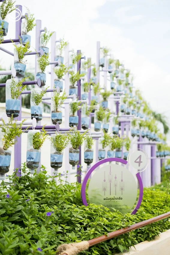 เมื่อดาดฟ้าโรงพยาบาลรามาฯ กลายเป็น ‘สวนบำบัดลอยฟ้า’ ใหญ่สุดในไทยที่ช่วยบำบัดทั้งคนและเมือง