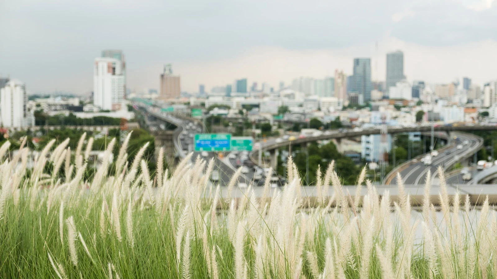 เมื่อดาดฟ้าโรงพยาบาลรามาฯ กลายเป็น ‘สวนบำบัดลอยฟ้า’ ใหญ่สุดในไทยที่ช่วยบำบัดทั้งคนและเมือง