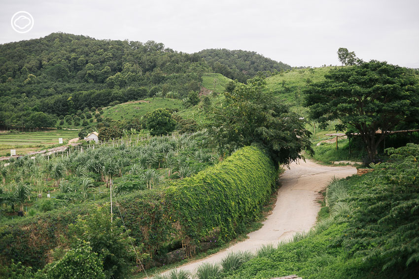 ไร่เกษตรอินทรีย์ในเชียงราย ที่ทำให้คนเมืองอยากกลับบ้าน พอแล้วดี, ไร่รื่นรมย์, ศิริวิมล กิตะพาณิชย์, เกษตรอินทรีย์