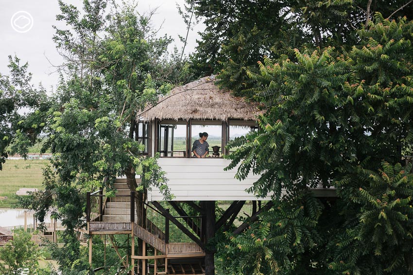ไร่เกษตรอินทรีย์ในเชียงราย ที่ทำให้คนเมืองอยากกลับบ้าน พอแล้วดี, ไร่รื่นรมย์, ศิริวิมล กิตะพาณิชย์, เกษตรอินทรีย์