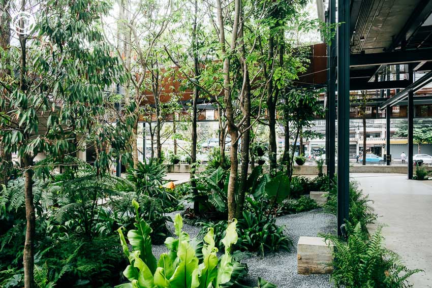 ดาดฟ้า, ดาดฟ้า Dadfa, คอมมูนิตี้มอลล์ สุขุมวิท, ร้านโอ้กะจู๋