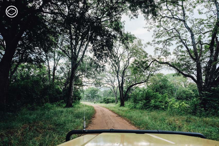 ซาฟารี, สวนสัตว์, Zambia Safari, ประเทศแซมเบีย
