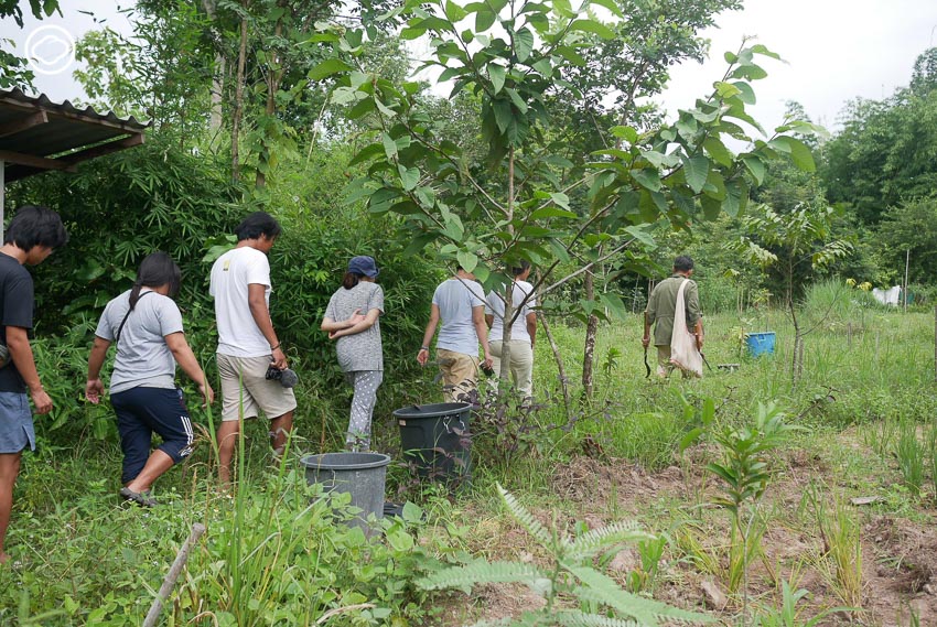 จุลพร นันทพานิช, ปลูกป่า, Mae Wang Wildlife Sanctuary, Gap Year Program