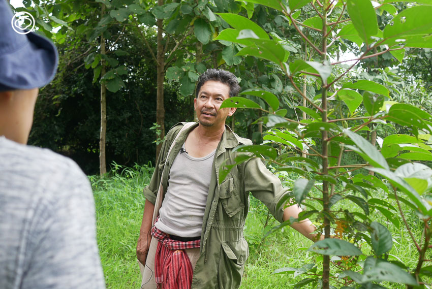 จุลพร นันทพานิช, ปลูกป่า, Mae Wang Wildlife Sanctuary, Gap Year Program