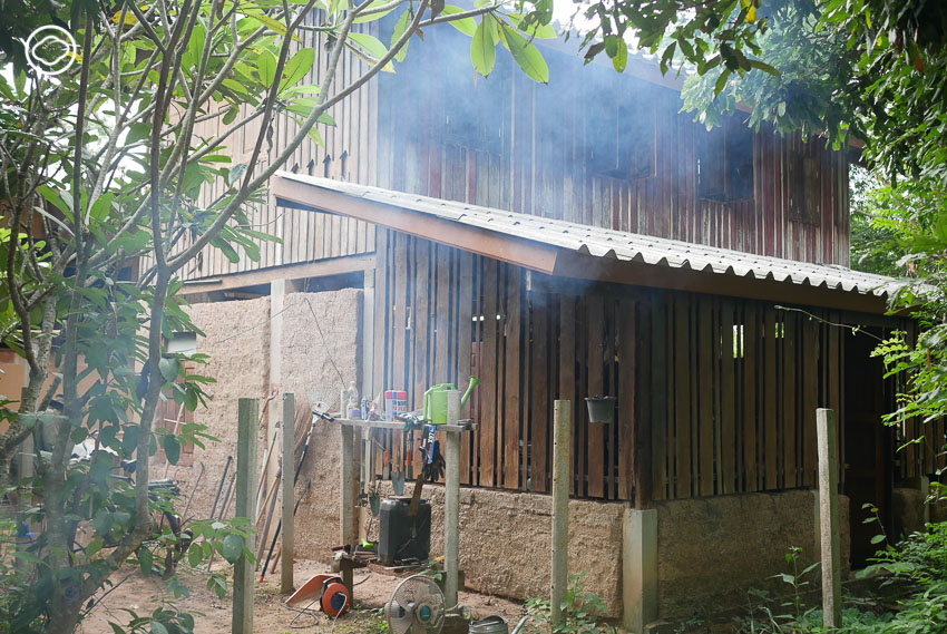 จุลพร นันทพานิช, ปลูกป่า, Mae Wang Wildlife Sanctuary, Gap Year Program