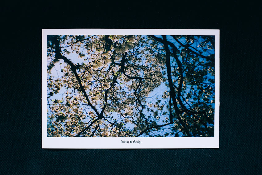 โปสการ์ด, postcard,Teaspoon Studio