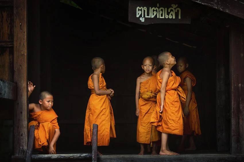 Dhamma on Lens