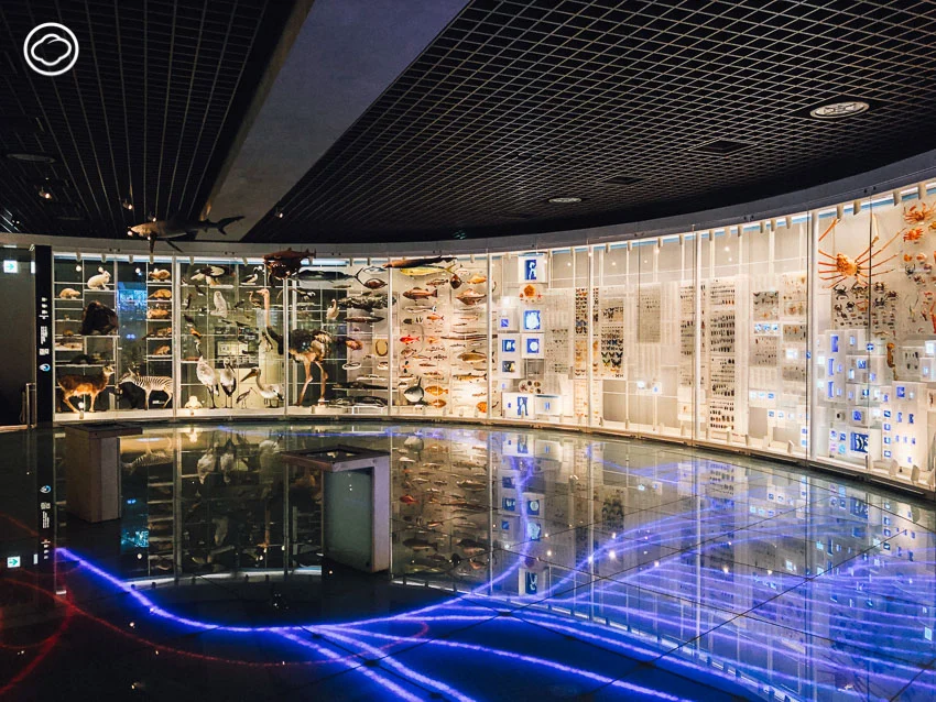 พิพิธภัณฑ์, โตเกียว