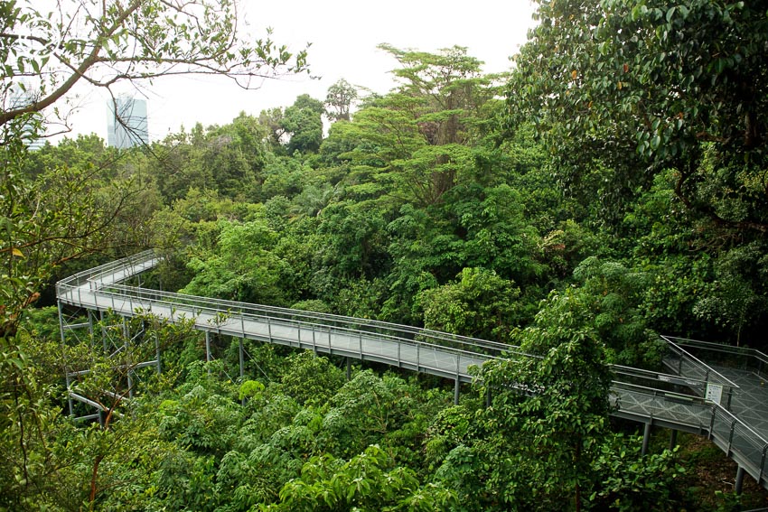 สิงคโปร์
