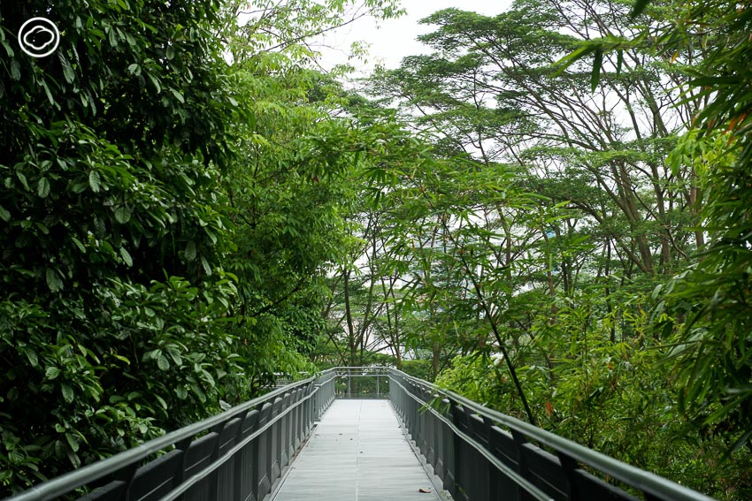 สิงคโปร์
