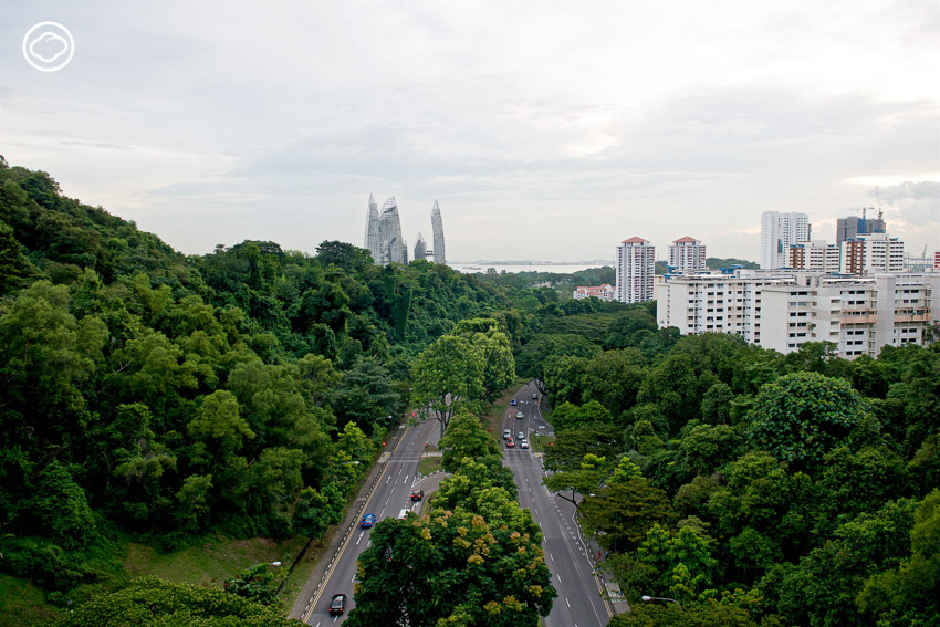 สิงคโปร์