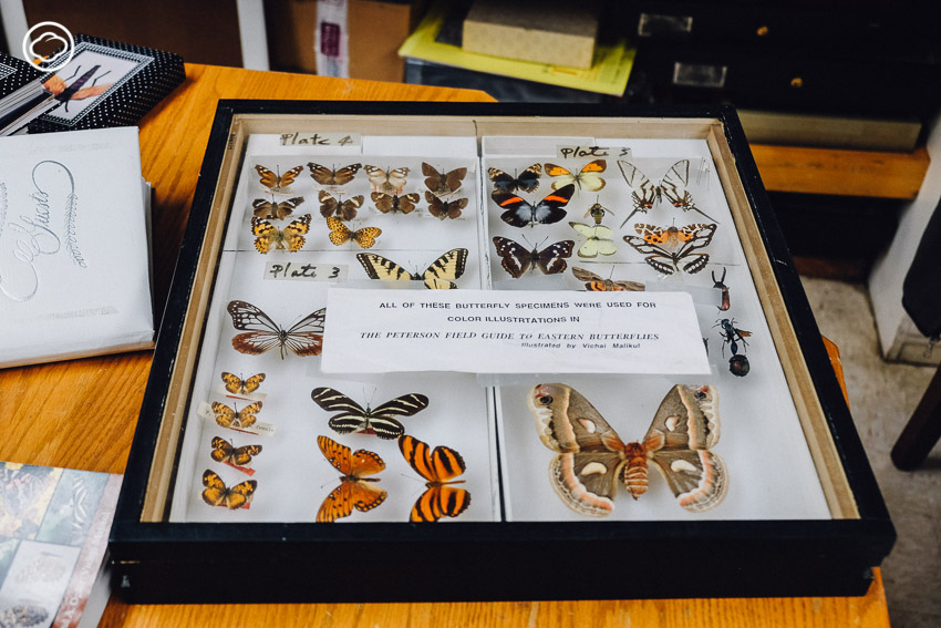 วิชัย มะลิกุล, Smithsonian