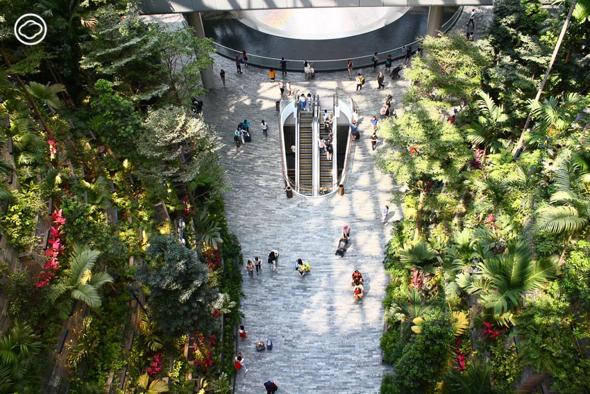 Jewel Changi Airport