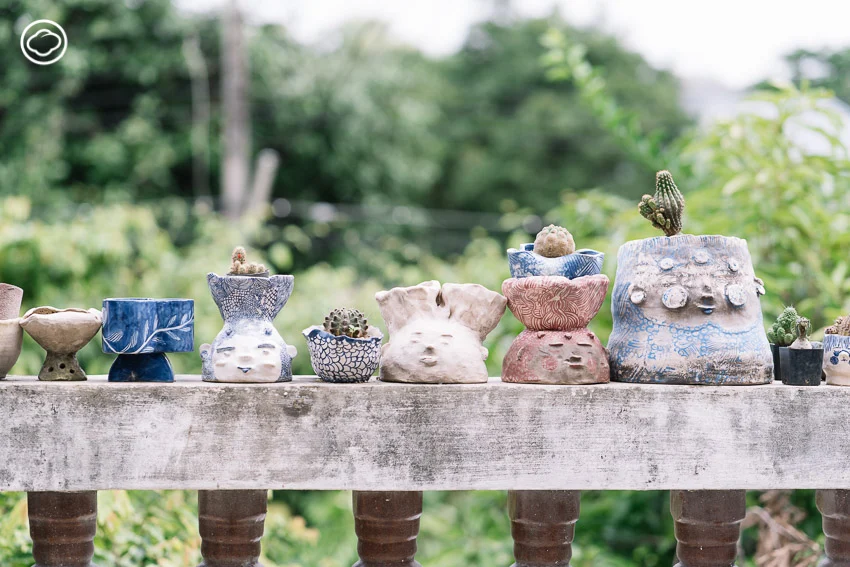 Lively Ware