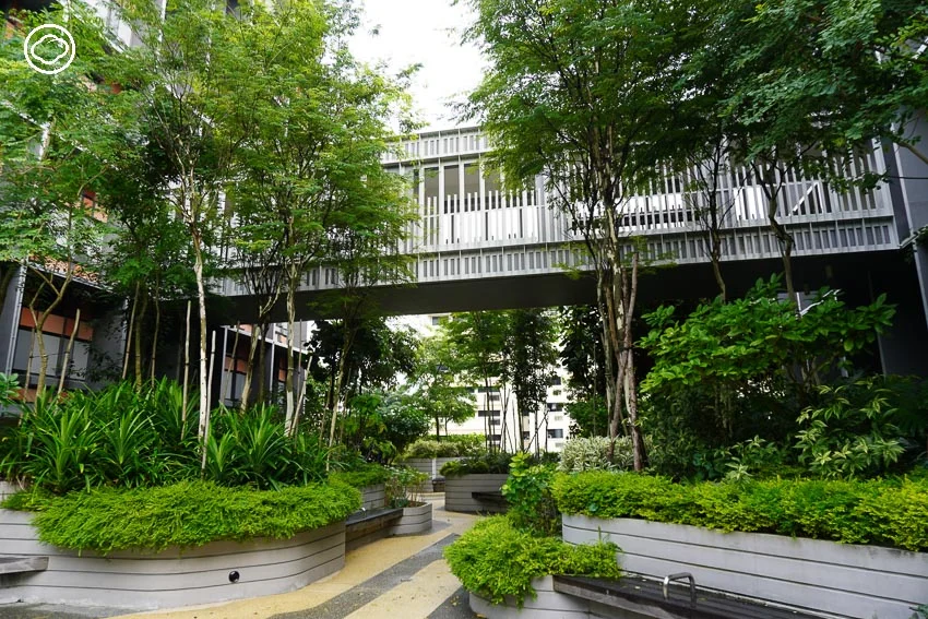 บ้านพักคนชรา Mixed-use แห่งแรกโดยรัฐบาลสิงคโปร์เพื่อผู้สูงอายุชาวสิงคโปร์