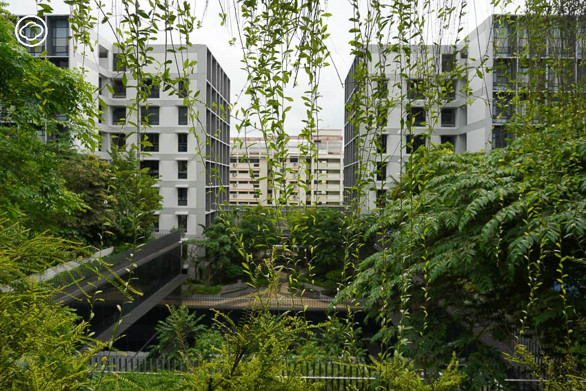 บ้านพักคนชรา Mixed-use แห่งแรกโดยรัฐบาลสิงคโปร์เพื่อผู้สูงอายุชาวสิงคโปร์