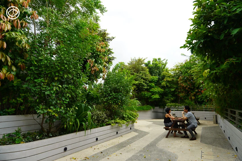 บ้านพักคนชรา Mixed-use แห่งแรกโดยรัฐบาลสิงคโปร์เพื่อผู้สูงอายุชาวสิงคโปร์