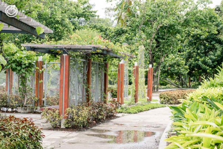 อุทยานธรรมชาติวิทยาสิรีรุกขชาติ