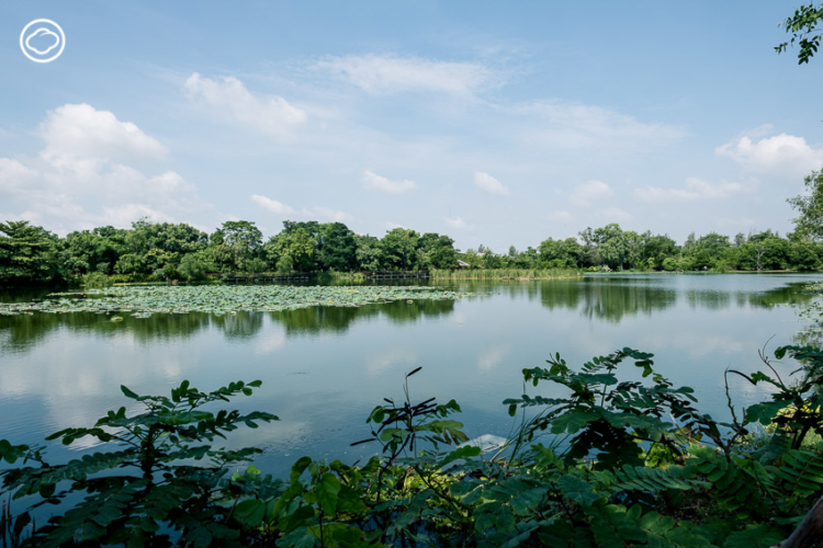 อุทยานธรรมชาติวิทยาสิรีรุกขชาติ