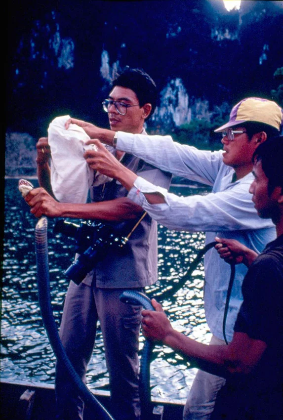 1 กันยายน วันสืบ นาคะเสถียร วีรบุรุษผู้อุทิศตนให้กับธรรมชาติที่ได้รับการยกย่องจากคนทั่วโลก