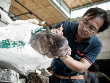 เบื้องหลังการสตัฟฟ์เพื่อชุบชีวิตมาเรียมและยามีล สองลูกพะยูนขวัญใจมหาชน