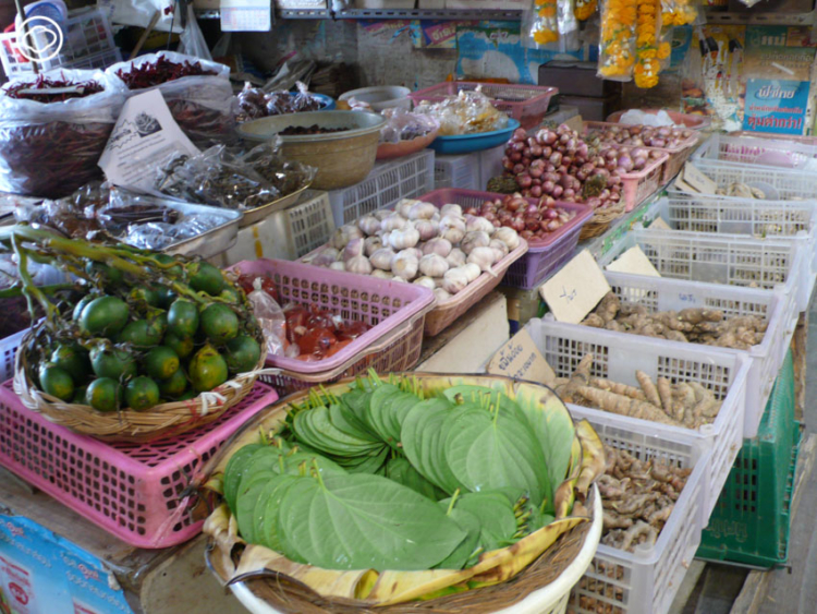 เดินตลาดนัด ตลาดน้ำ เสาะหาและศึกษาของซื้อของขายที่บอกเล่าวิถีสังคมแต่ละท้องถิ่น