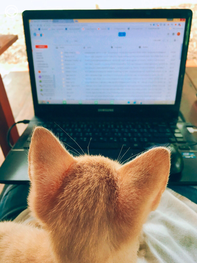 วีถี Digital Nomad ของสาวไทยผู้มีเป้าหมายเป็นการซ้อนมอ'ไซค์จากอเมริกาเหนือไปอเมริกาใต้