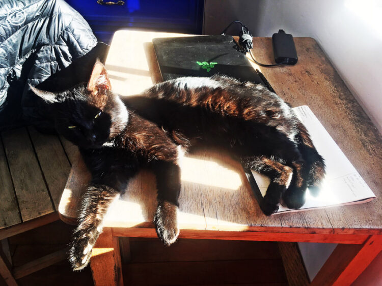 วีถี Digital Nomad ของสาวไทยผู้มีเป้าหมายเป็นการซ้อนมอ'ไซค์จากอเมริกาเหนือไปอเมริกาใต้