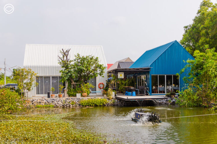 มิโนะบุรี Minoburi พื้นที่ทางเลือกสร้างจากวัสดุรีไซเคิล ที่เป็นทุกอย่างตั้งแต่สวนไปจนถึงพื้นที่สร้างสรรค์ของชาวมีนบุรี