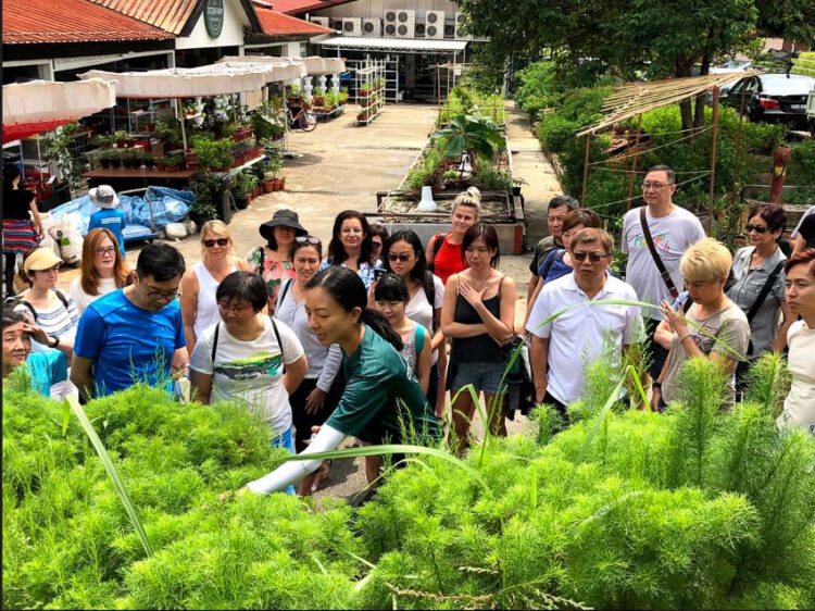 Edible Garden City การกอบกู้ความมั่นคงของประเทศสิงคโปร์ในรูปแบบ ‘แปลงผัก’
