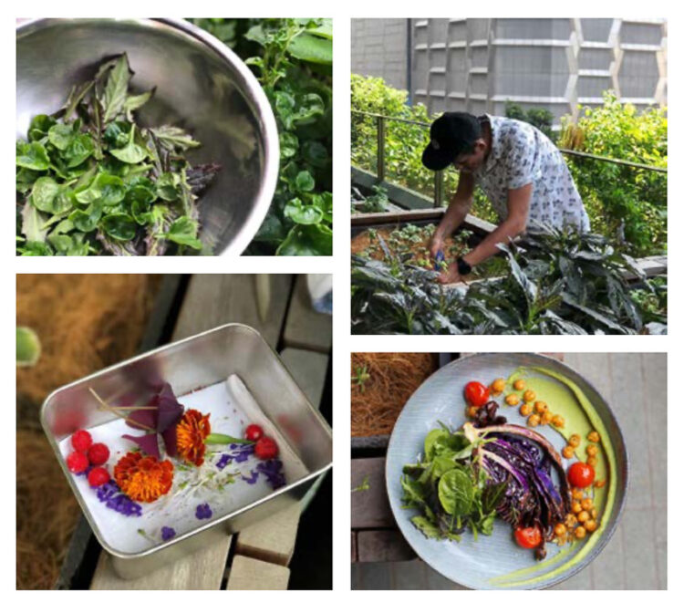 Edible Garden City การกอบกู้ความมั่นคงของประเทศสิงคโปร์ในรูปแบบ ‘แปลงผัก’