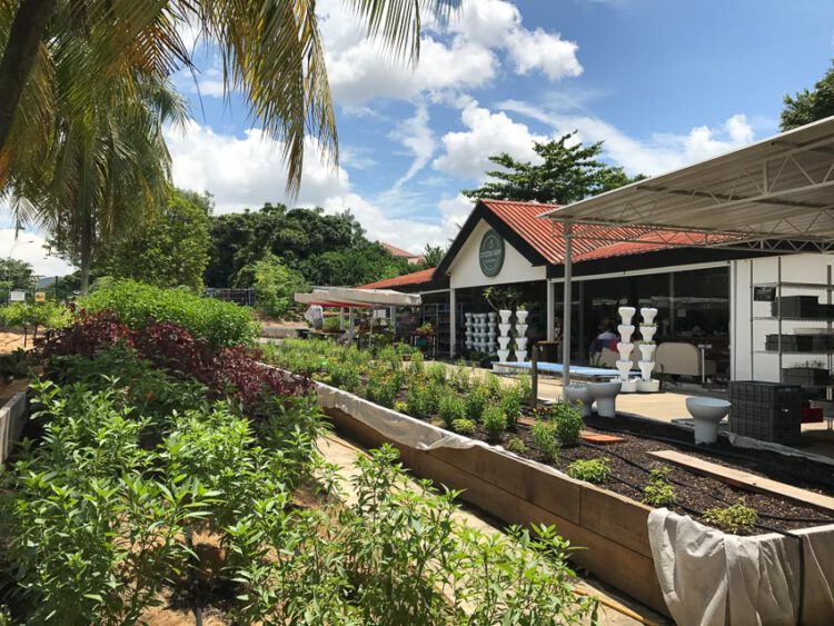Edible Garden City การกอบกู้ความมั่นคงของประเทศสิงคโปร์ในรูปแบบ ‘แปลงผัก’