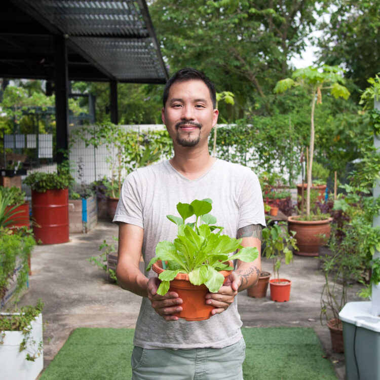 Edible Garden City การกอบกู้ความมั่นคงของประเทศสิงคโปร์ในรูปแบบ ‘แปลงผัก’