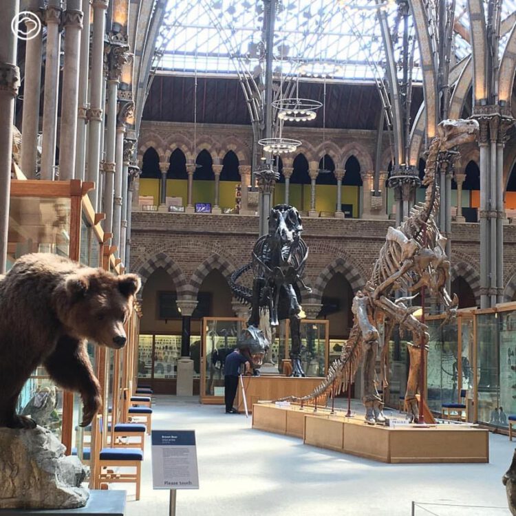 นักศึกษาป.เอก ผู้หาคำตอบเรื่องโลกร้อนด้วยการศึกษาแมลงปอใน Natural History Museum