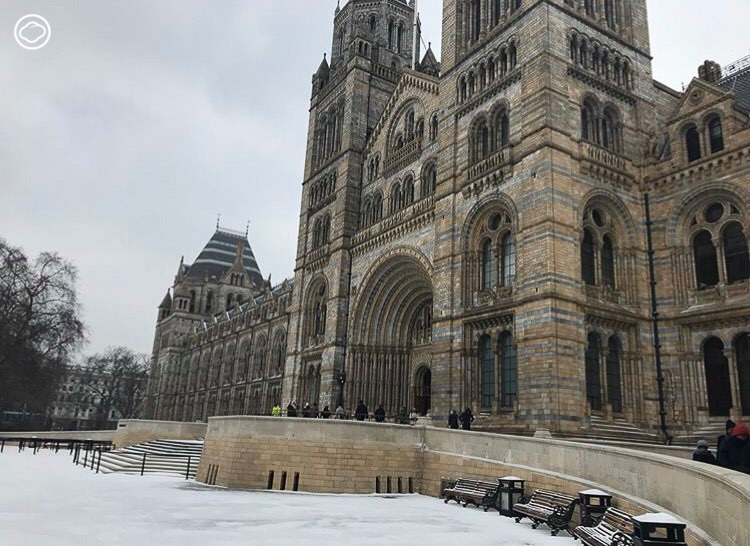 นักศึกษาป.เอก ผู้หาคำตอบเรื่องโลกร้อนด้วยการศึกษาแมลงปอใน Natural History Museum