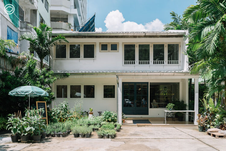 Sweet & Green ฟาร์มช็อปในบ้านย่านเอกมัยที่ส่งผักผลไม้ปลอดภัยจากปากช่องถึงคนเมือง, Sweet & Green เอกมัย