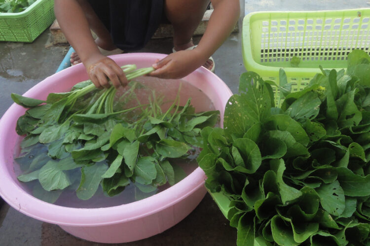 ภารกิจสร้างเรือนจำสุขภาวะ ด้วยการฝึกโยคะให้ผู้ต้องขังและทำสวนเกษตรกรรมหลังกำแพง, นักโทษ, เรือนจำ, ผู้ต้องหา