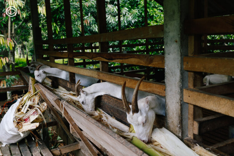 ใกล้ชิดธรรมชาติใน 10 ที่เที่ยวกลางผืนป่า สวมสมรมและทะเลอุดมสมบูรณ์ของนครศรีธรรมราช, ที่เที่ยว นครศรีธรรมราช