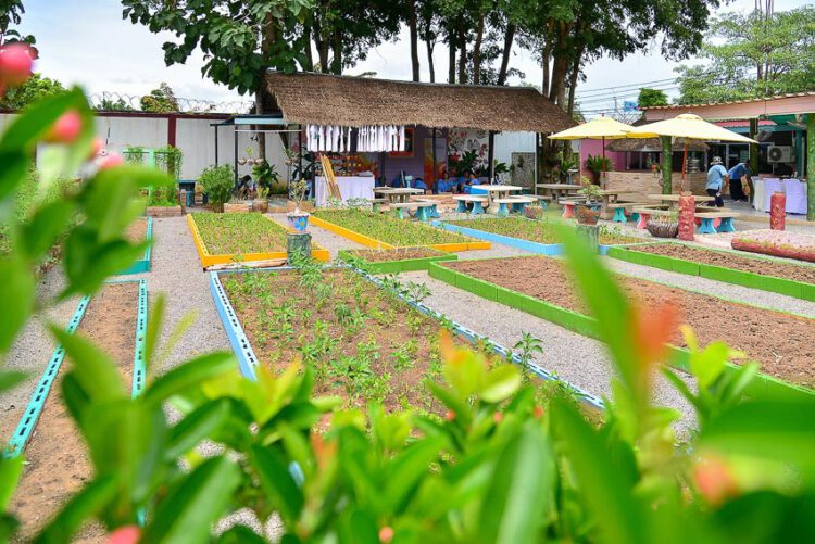 ภารกิจสร้างเรือนจำสุขภาวะ ด้วยการฝึกโยคะให้ผู้ต้องขังและทำสวนเกษตรกรรมหลังกำแพง, นักโทษ, เรือนจำ, ผู้ต้องหา