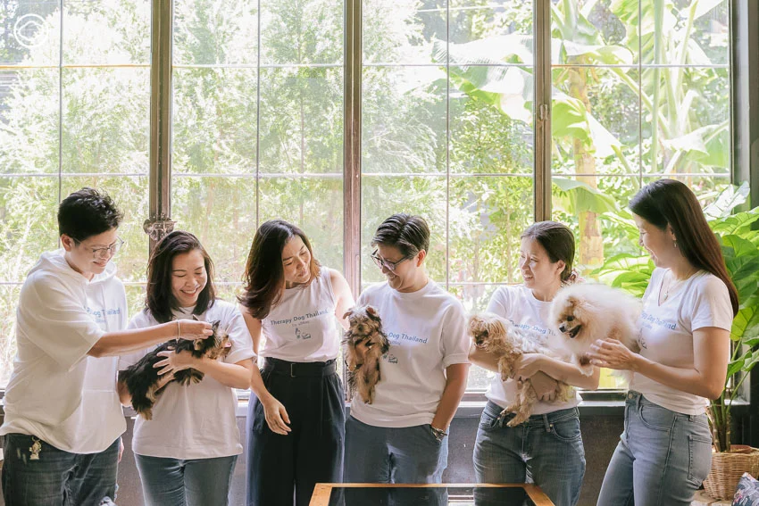 Therapy Dog Thailand หลักสูตรสุนัขบำบัดที่ฝึกทั้งคนและหมาให้เยียวยากันและกัน