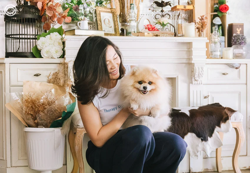 Therapy Dog Thailand หลักสูตรสุนัขบำบัดที่ฝึกทั้งคนและหมาให้เยียวยากันและกัน